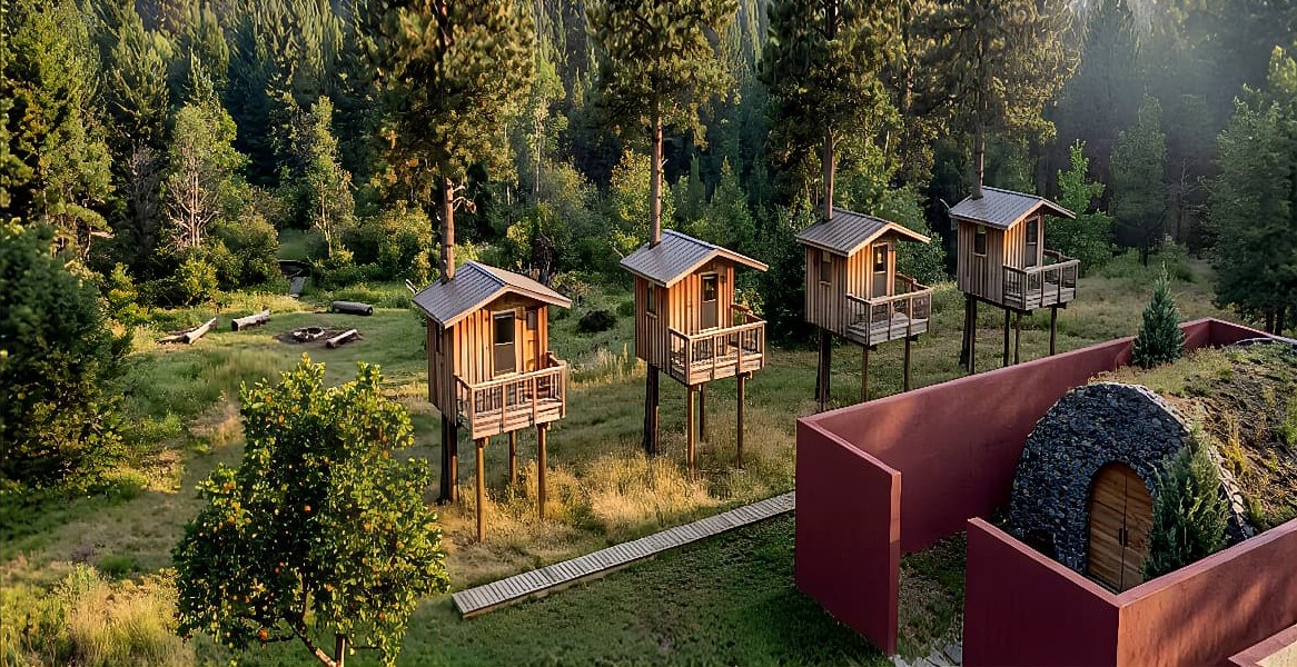 Treehouse